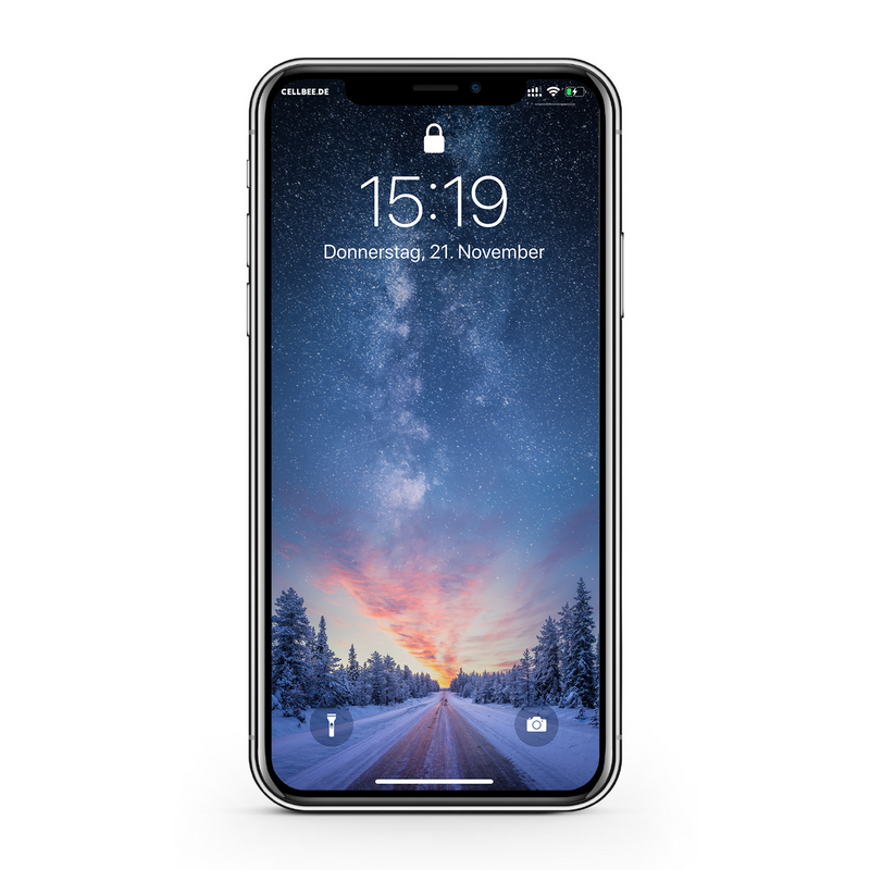 "the Curved" mit Mesh-Cover - iPhone 11 Pro Max Displayschutz